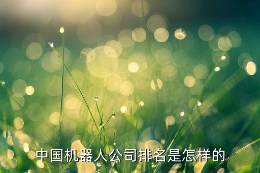 中國機器人公司排名是怎樣的
