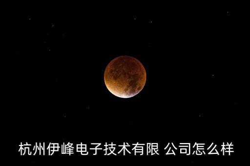  杭州伊峰電子技術有限 公司怎么樣