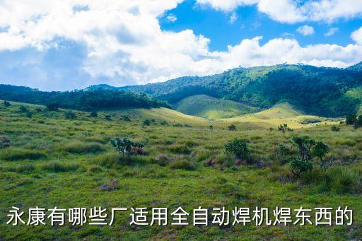 永康有哪些廠適用全自動焊機焊東西的