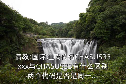 請教:國際匯款代碼CHASUS33xxx與CHASUS33有什么區(qū)別兩個代碼是否是同一...
