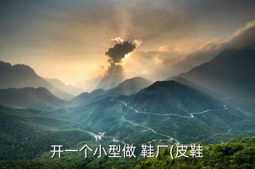 開一個小型做 鞋廠(皮鞋