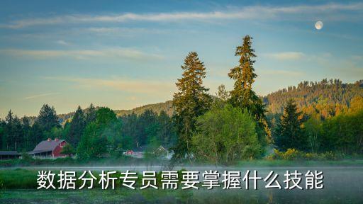 數據分析專員需要掌握什么技能