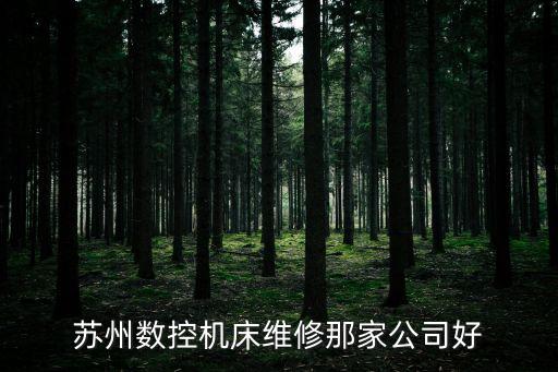 蘇州數(shù)控機床維修那家公司好