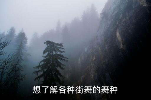 想了解各種街舞的舞種