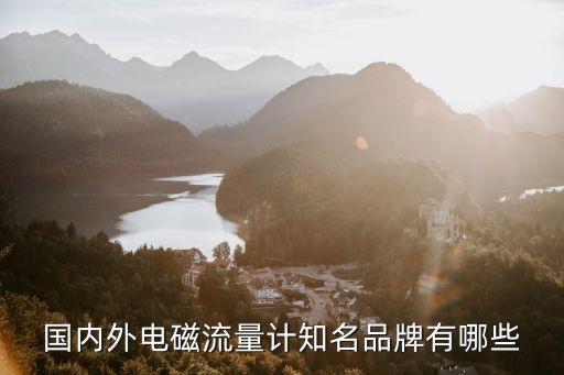 國內(nèi)外電磁流量計(jì)知名品牌有哪些