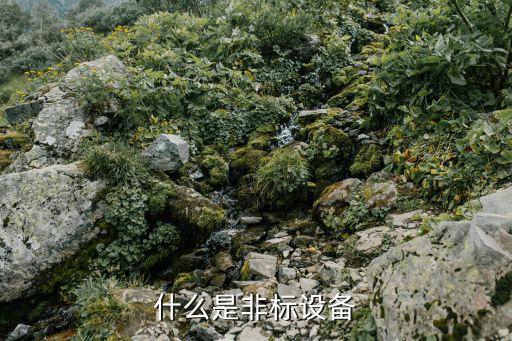 什么是非標(biāo)設(shè)備