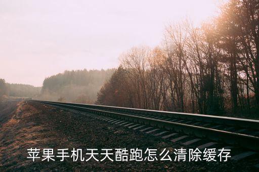 蘋果手機天天酷跑怎么清除緩存