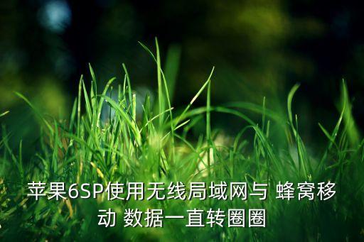 iphone6s wifi 蜂窩移動(dòng)數(shù)據(jù)