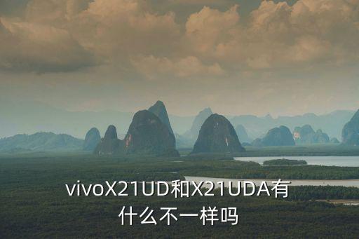 x21屏幕指紋版數(shù)據(jù),指紋設(shè)計(jì)方案不同x21分為兩種版本