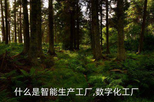 什么是智能生產(chǎn)工廠,數(shù)字化工廠