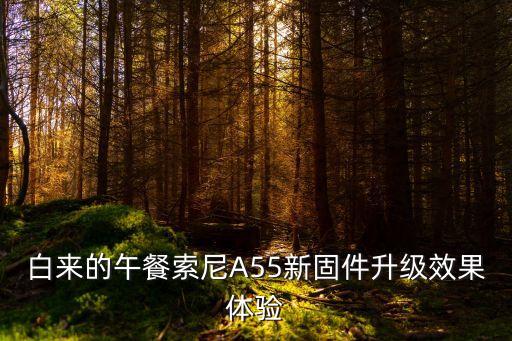 白來的午餐索尼A55新固件升級效果體驗(yàn)