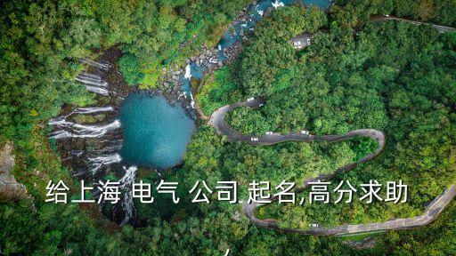 給上海 電氣 公司 起名,高分求助,