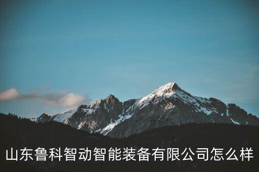 山東魯科智動(dòng)智能裝備有限公司怎么樣