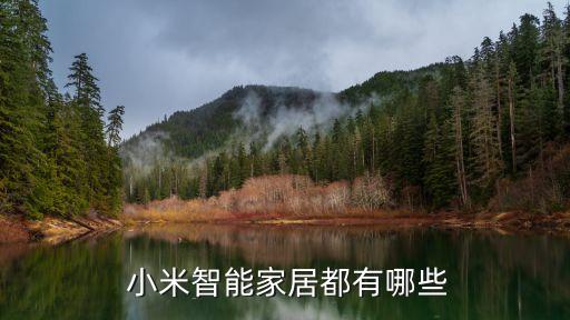  小米智能家居都有哪些