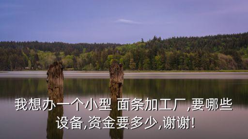 我想辦一個小型 面條加工廠,要哪些 設備,資金要多少,謝謝!