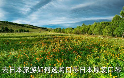霍納自動(dòng)化設(shè)備