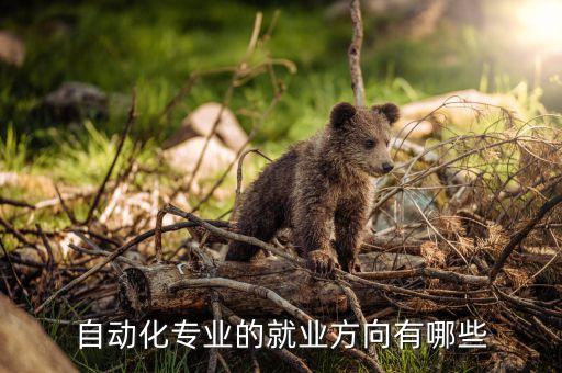 自動化咨詢公司發(fā)展方向,自動化就業(yè)方向及前景張雪峰如下