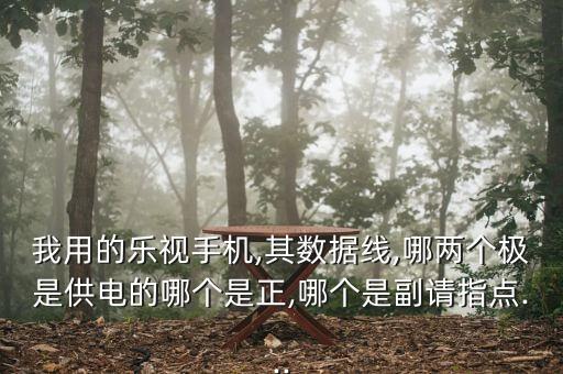 我用的樂(lè)視手機(jī),其數(shù)據(jù)線,哪兩個(gè)極是供電的哪個(gè)是正,哪個(gè)是副請(qǐng)指點(diǎn)...