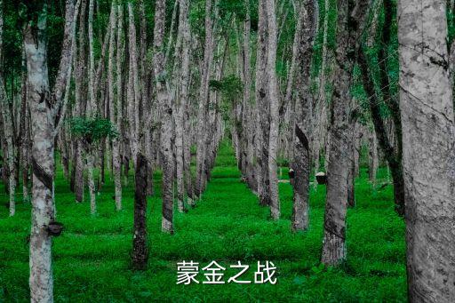蒙金之戰(zhàn)