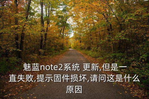  魅藍(lán)note2系統(tǒng) 更新,但是一直失敗,提示固件損壞,請問這是什么原因