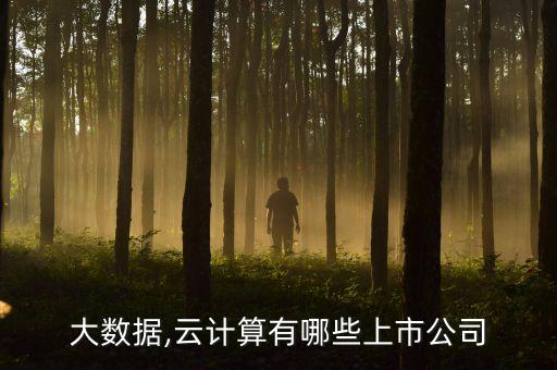 大數(shù)據(jù)互聯(lián)網(wǎng)公司,互聯(lián)網(wǎng)巨頭備戰(zhàn)大數(shù)據(jù)市場爆發(fā)在即