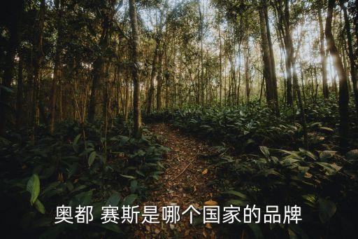 奧特賽斯自動化技術(shù)公司,北京奧特美自動化技術(shù)有限公司
