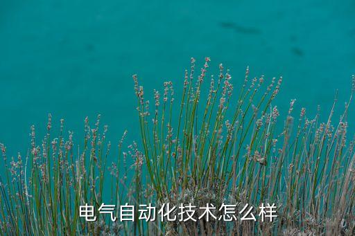 電氣自動(dòng)化技術(shù)怎么樣
