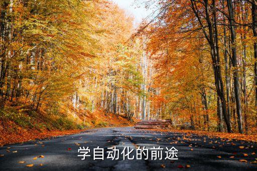 學(xué)自動(dòng)化的前途