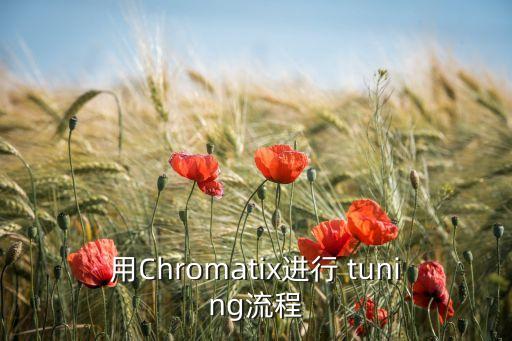 tuning,英文簡體中文翻譯:烏克麗麗調(diào)音