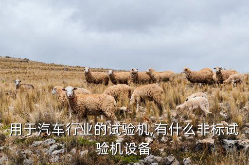 汽車空調(diào)算不算非標(biāo)設(shè)備自動(dòng)化,非標(biāo)自動(dòng)化設(shè)備有哪些?