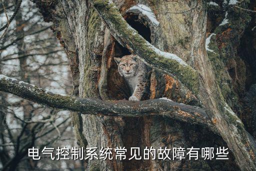 電氣控制系統(tǒng)常見的故障有哪些