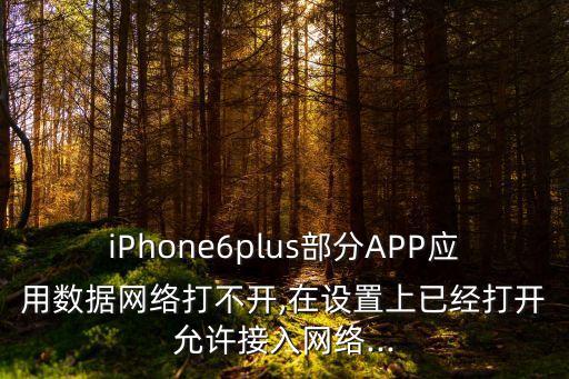 iPhone6plus部分APP應(yīng)用數(shù)據(jù)網(wǎng)絡(luò)打不開,在設(shè)置上已經(jīng)打開允許接入網(wǎng)絡(luò)...