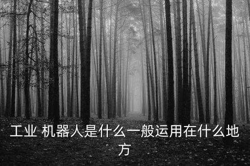 焊接機(jī)器人負(fù)載