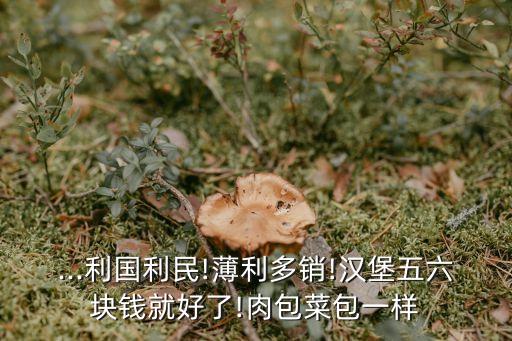 ...利國(guó)利民!薄利多銷(xiāo)!漢堡五六塊錢(qián)就好了!肉包菜包一樣