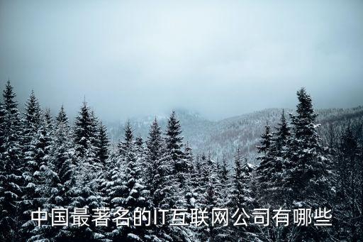 中國最著名的IT互聯(lián)網(wǎng)公司有哪些
