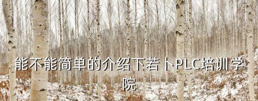 能不能簡單的介紹下若卜PLC培訓(xùn)學(xué)院