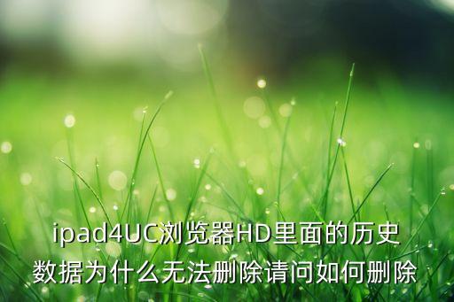ipad4UC瀏覽器HD里面的歷史數(shù)據(jù)為什么無法刪除請(qǐng)問如何刪除