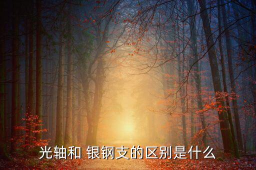 光軸和 銀鋼支的區(qū)別是什么