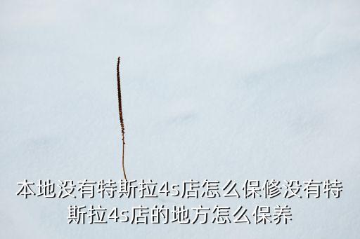 本地沒(méi)有特斯拉4s店怎么保修沒(méi)有特斯拉4s店的地方怎么保養(yǎng)