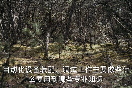 自動化設(shè)備裝配、調(diào)試工作主要做些什么要用到哪些專業(yè)知識