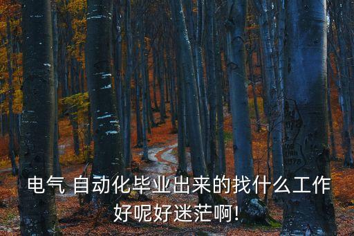  電氣 自動化畢業(yè)出來的找什么工作好呢好迷茫啊!