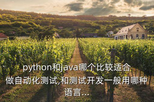 公司java自動化,java比較強(qiáng)的互聯(lián)網(wǎng)公司有哪些?
