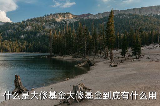 什么是大修基金大修基金到底有什么用