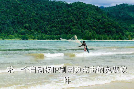 求一個自動換IP刷網頁點擊的免費軟件