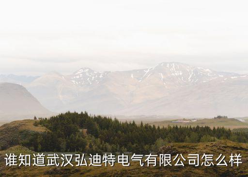 東莞迪特自動化設(shè)備,長沙歐迪特自動化設(shè)備有限公司怎么樣?