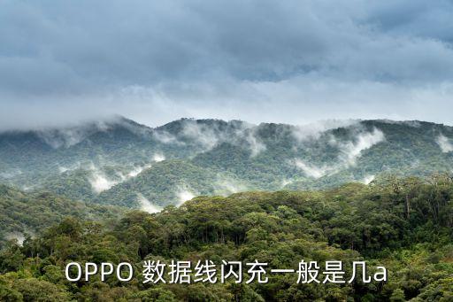 OPPO 數(shù)據(jù)線(xiàn)閃充一般是幾a