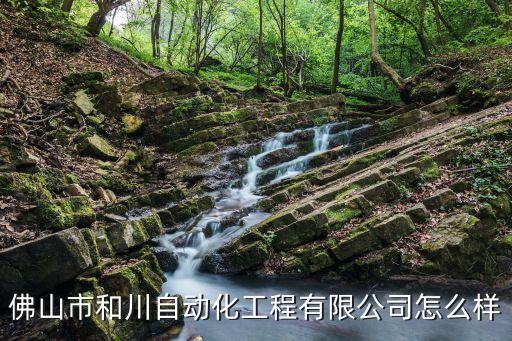 佛山友好自動化公司,佛山市和川自動化工程有限公司怎么樣?