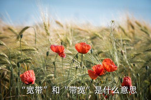 帶寬是什么,什么是寬帶?寬帶和帶寬是什么意思?