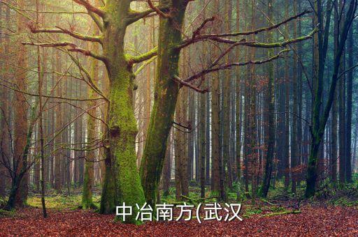 中冶南方(武漢