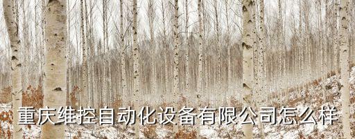 重慶維控自動化設(shè)備有限公司怎么樣